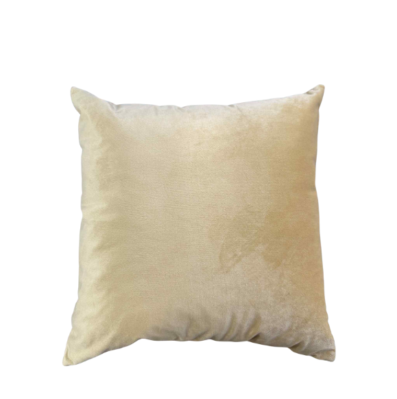 Velvet Cushion