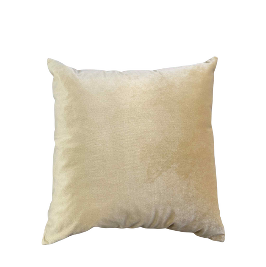Velvet Cushion